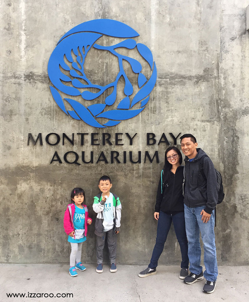 Travel Tips for Visiting the Monterey Bay Aquarium
