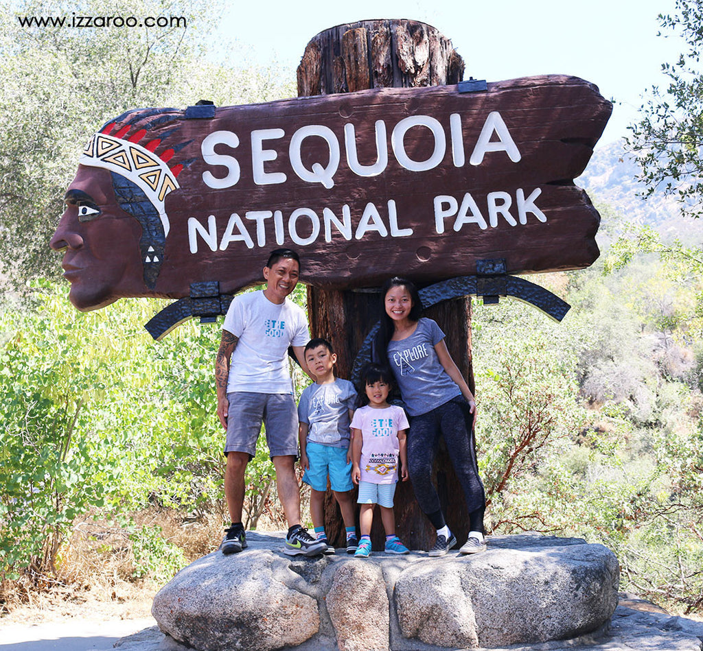Travel Tips for Exploring Sequoia National Park with Kids